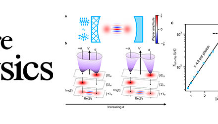 Suppression exponentielle des flips de bit pour un qubit encodé dans une cavité