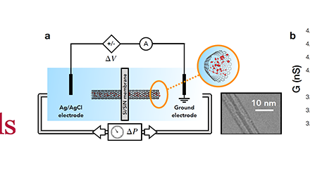 Transport ionique activé mécaniquement à travers des nanotubes de carbone de 2 nm.