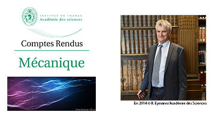 Comptes-Rendus de l’Académie des Sciences : Numéro spécial dédié à Yves Couder