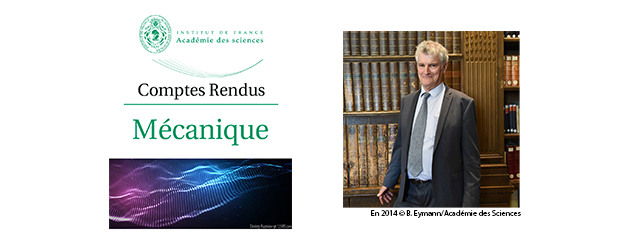 Comptes-Rendus de l’Académie des Sciences : Numéro spécial dédié à Yves Couder