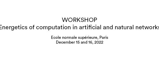 Energetics of computation in artificial and natural networks – Workshop 15&16 décembre