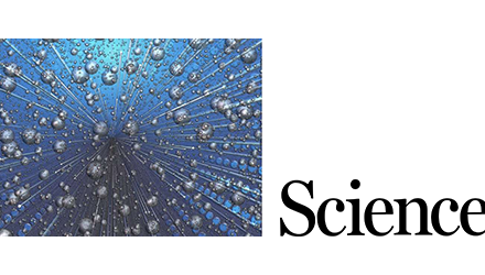 Topological phonons: Where vibrations find their twist