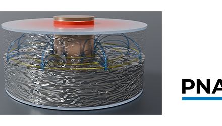 Thermoélectricité liquide