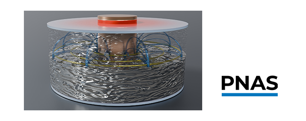 Thermoélectricité liquide